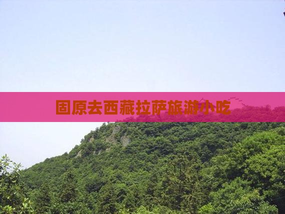 固原去西藏拉萨旅游小吃
