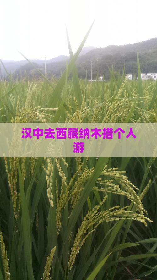 汉中去西藏纳木措个人游