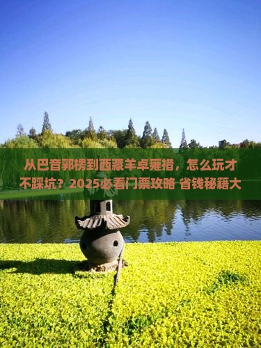 巴音郭楞去西藏羊卓雍措门票