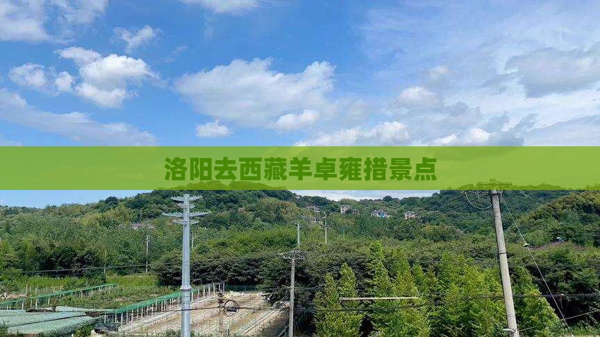 洛阳去西藏羊卓雍措景点
