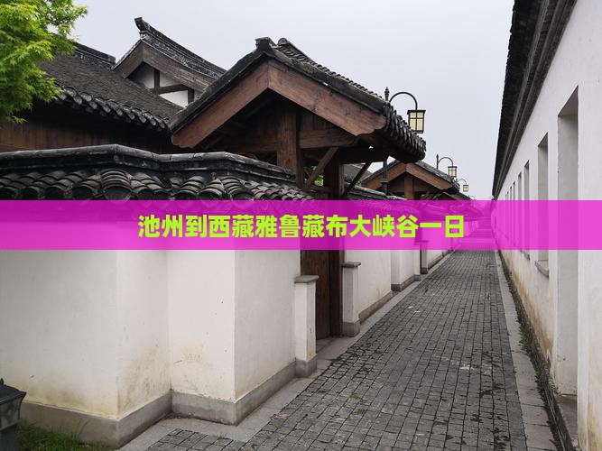 池州到西藏雅鲁藏布大峡谷一日