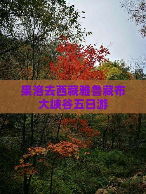 果洛去西藏雅鲁藏布大峡谷五日游