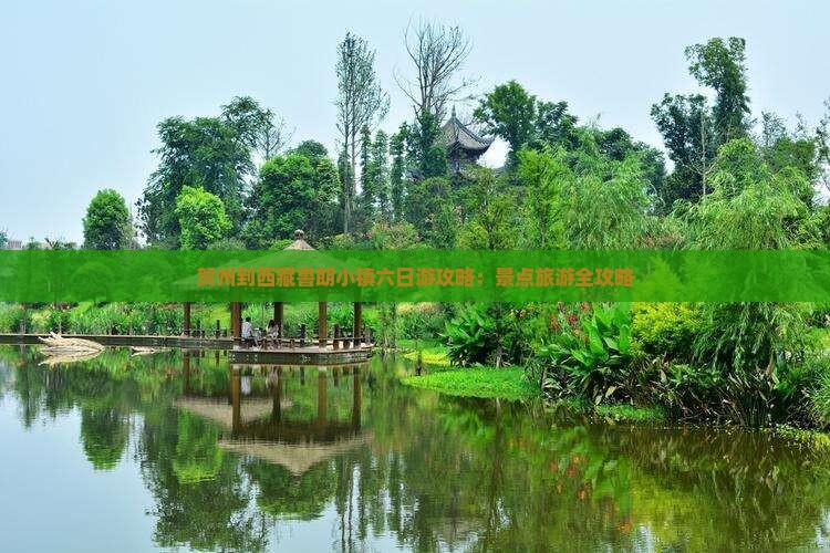 贺州到西藏鲁朗小镇六日游
