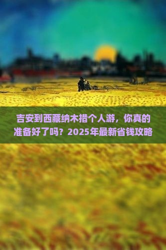 吉安到西藏纳木措个人游