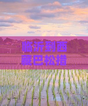 临沂到西藏巴松措哪里玩