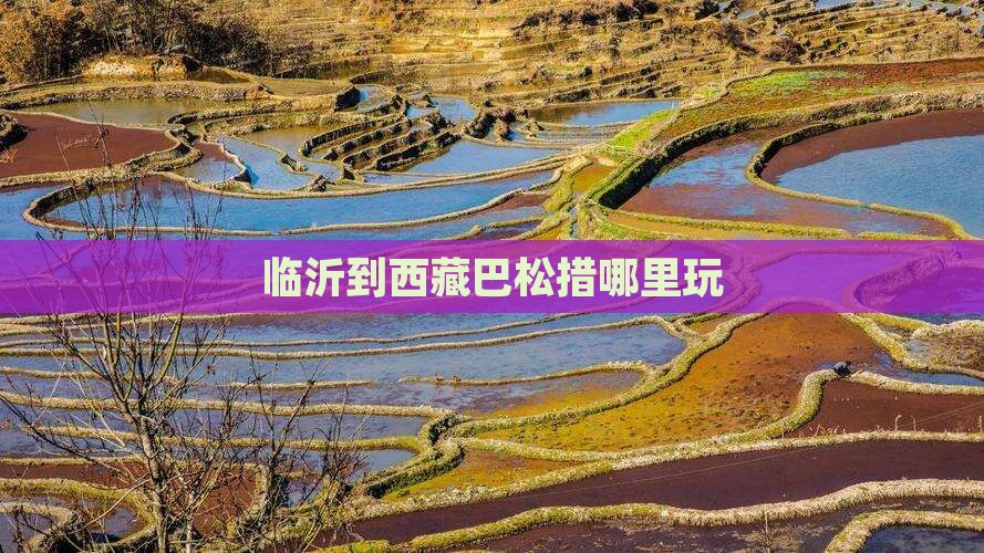 临沂到西藏巴松措哪里玩