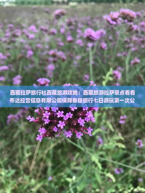 拉萨到西藏拉萨四日游