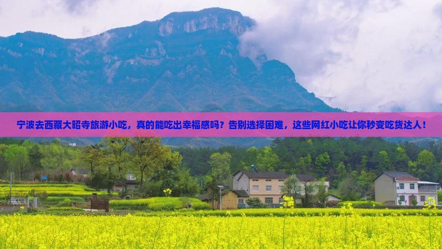 宁波去西藏大昭寺旅游小吃