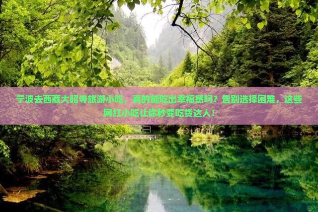 宁波去西藏大昭寺旅游小吃