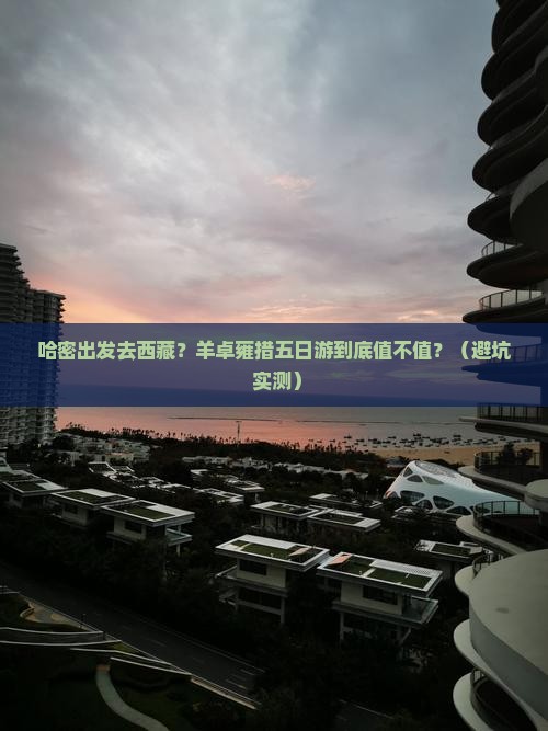 哈密去西藏羊卓雍措五日游