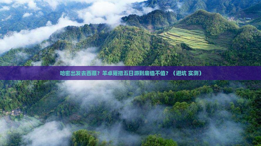 哈密去西藏羊卓雍措五日游