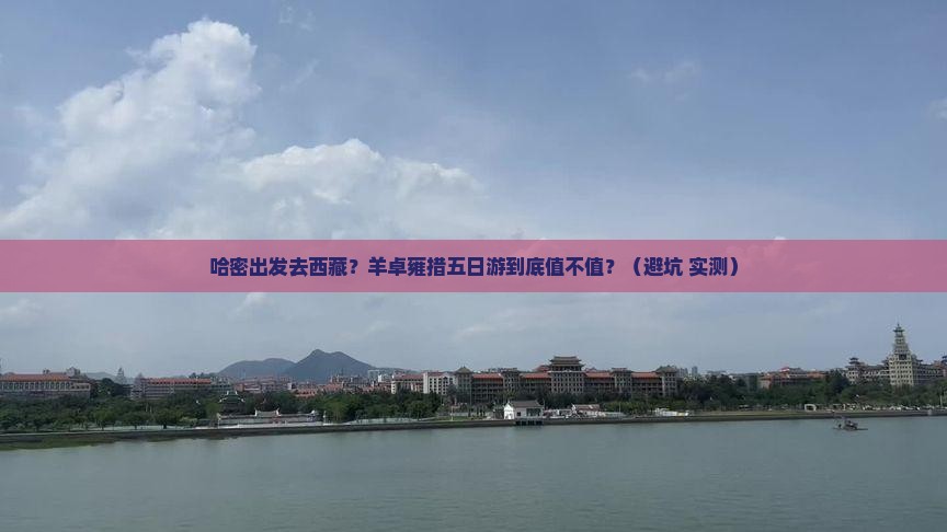 哈密去西藏羊卓雍措五日游