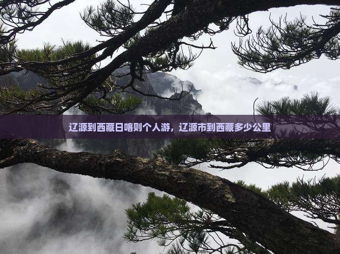 辽源到西藏日喀则个人游