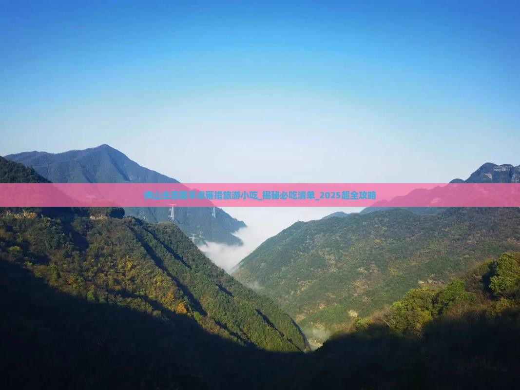 佛山去西藏羊卓雍措旅游小吃