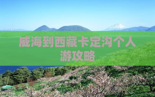 威海到西藏卡定沟个人游