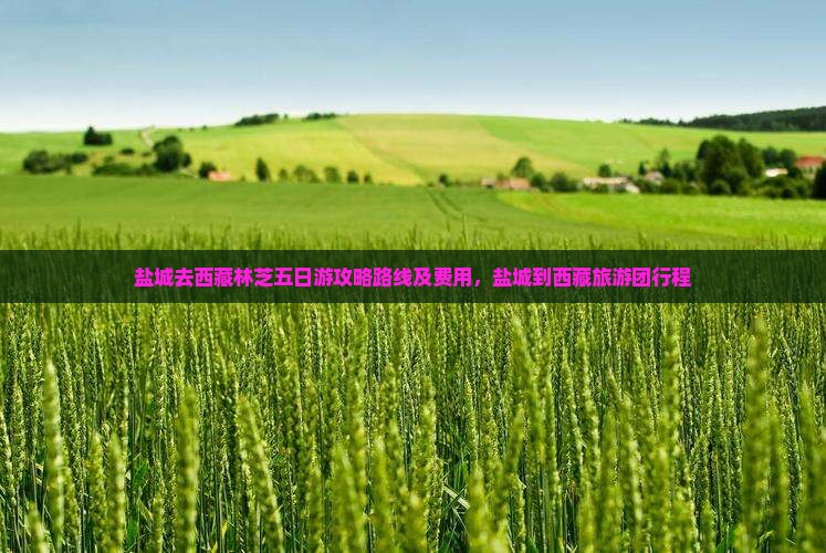 盐城去西藏林芝五日游