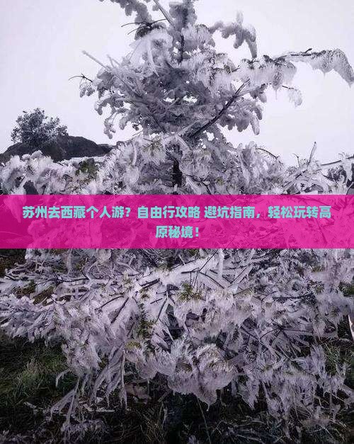 苏州去西藏个人游