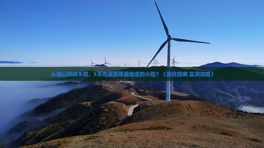 佛山到西藏纳木措旅游小吃