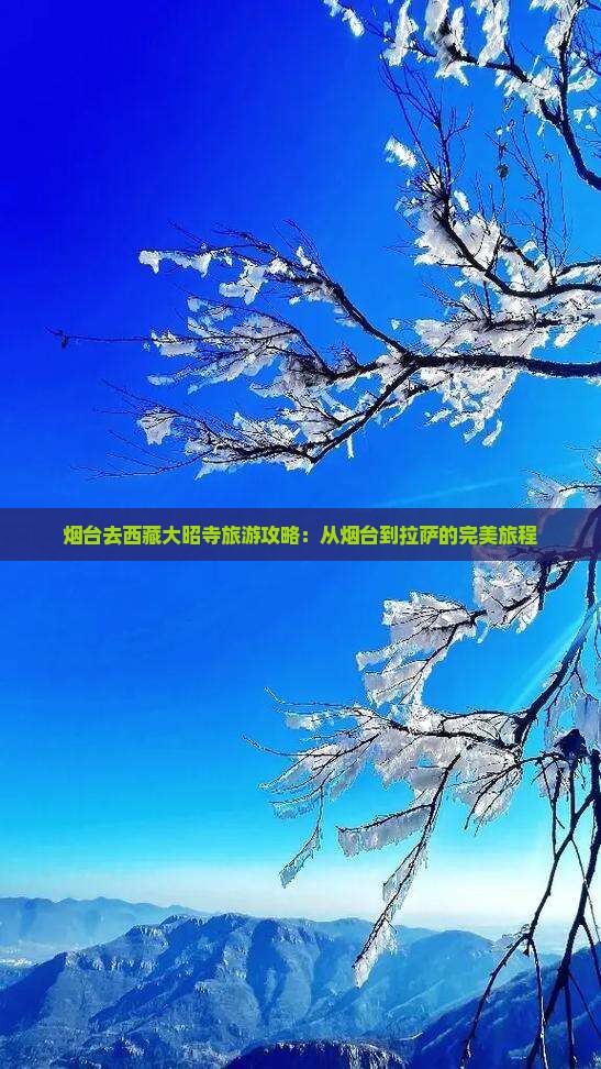 烟台去西藏大昭寺旅游