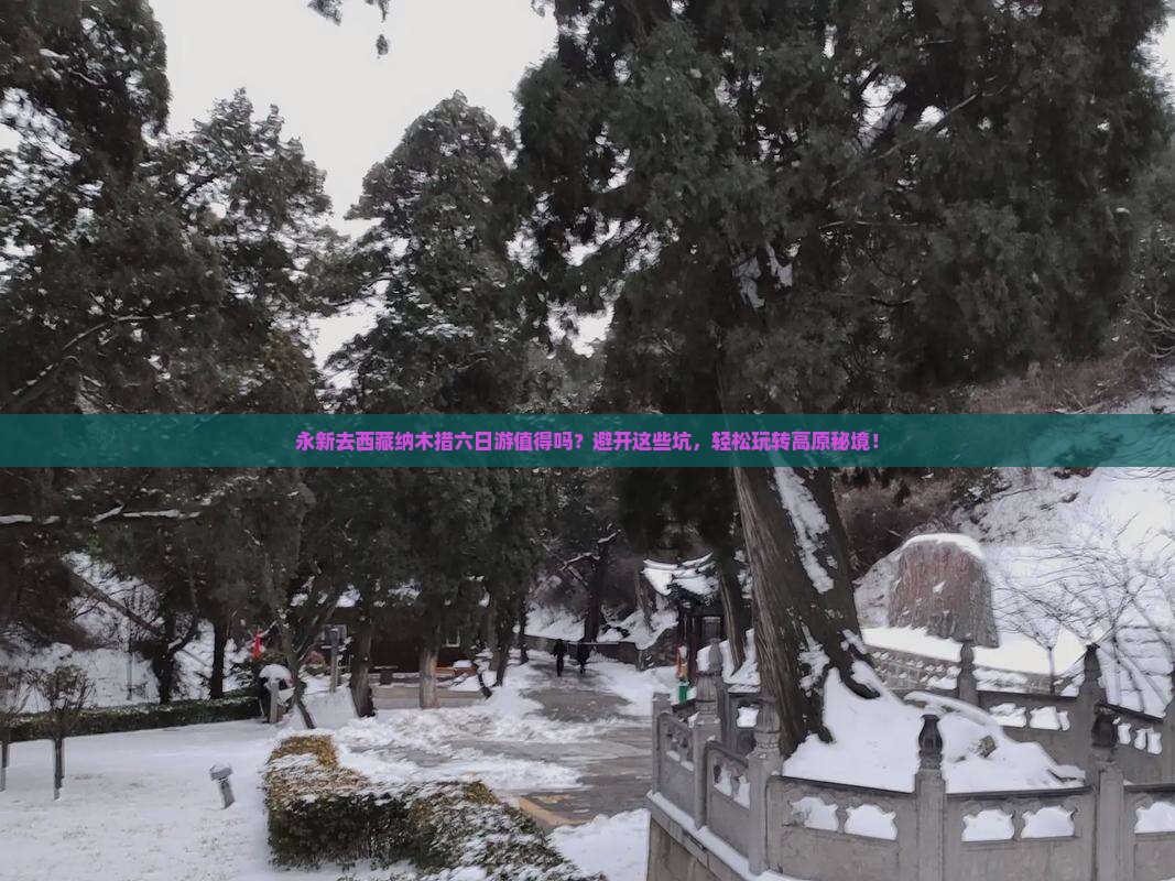 永新去西藏纳木措六日游