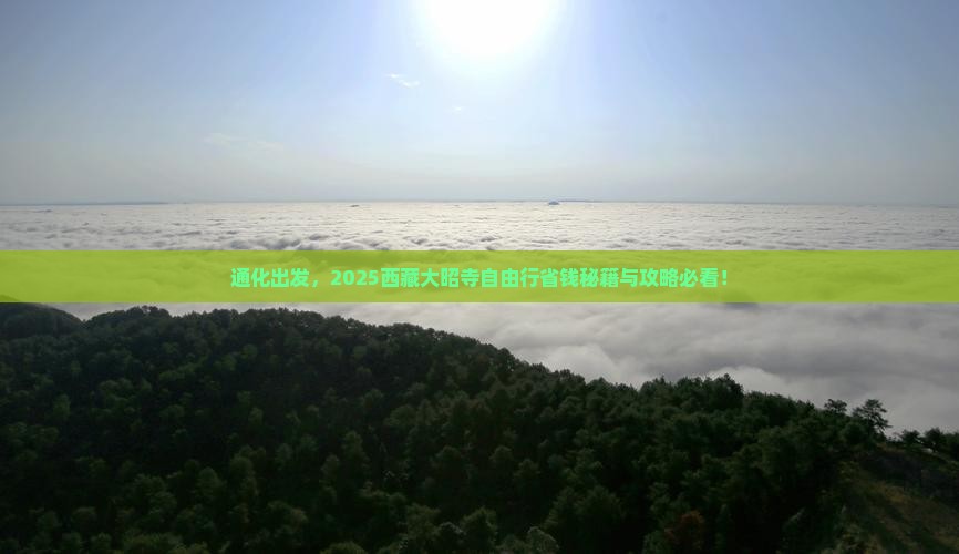 通化去西藏大昭寺自由行