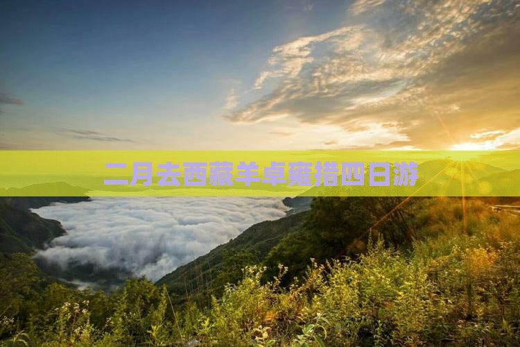 二月去西藏羊卓雍措四日游