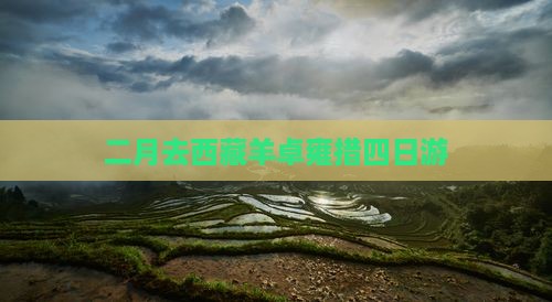 二月去西藏羊卓雍措四日游