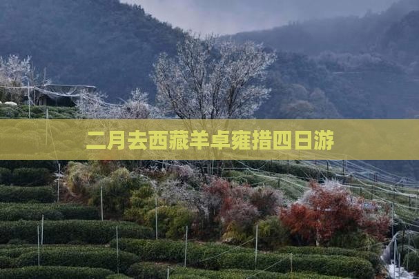 二月去西藏羊卓雍措四日游
