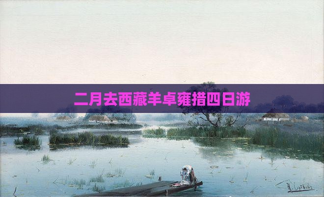 二月去西藏羊卓雍措四日游