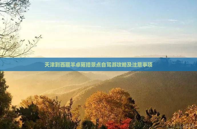 天津到西藏羊卓雍措景点