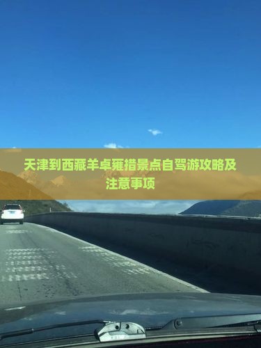 天津到西藏羊卓雍措景点