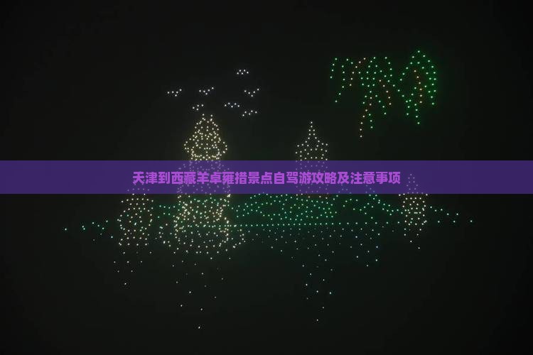 天津到西藏羊卓雍措景点