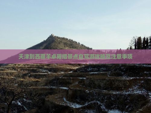 天津到西藏羊卓雍措景点