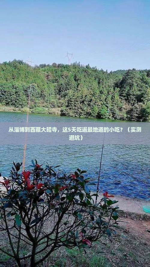 淄博到西藏大昭寺旅游小吃