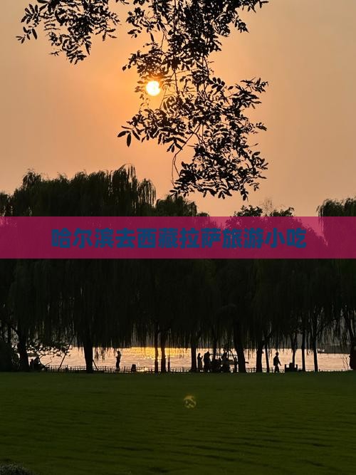 哈尔滨去西藏拉萨旅游小吃