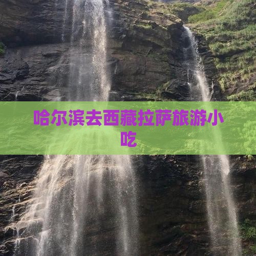 哈尔滨去西藏拉萨旅游小吃