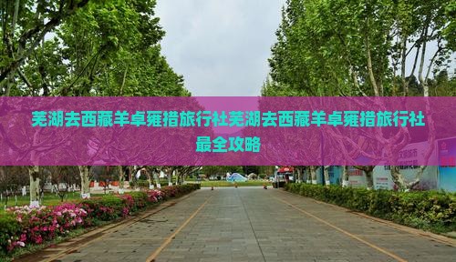芜湖去西藏羊卓雍措旅行社