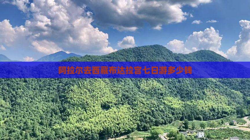 阿拉尔去西藏布达拉宫七日游