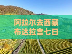 阿拉尔去西藏布达拉宫七日游