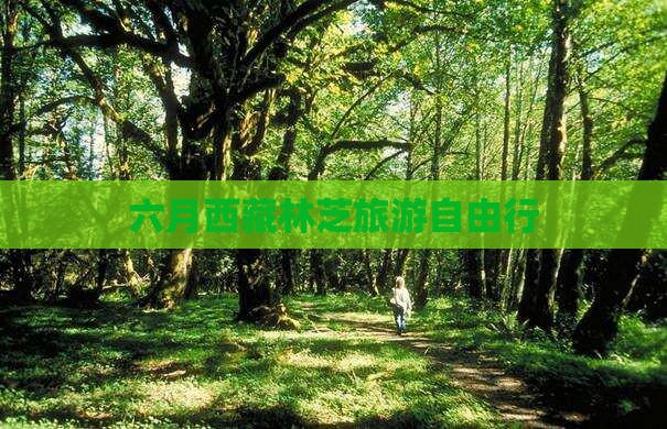 六月到西藏林芝自由团