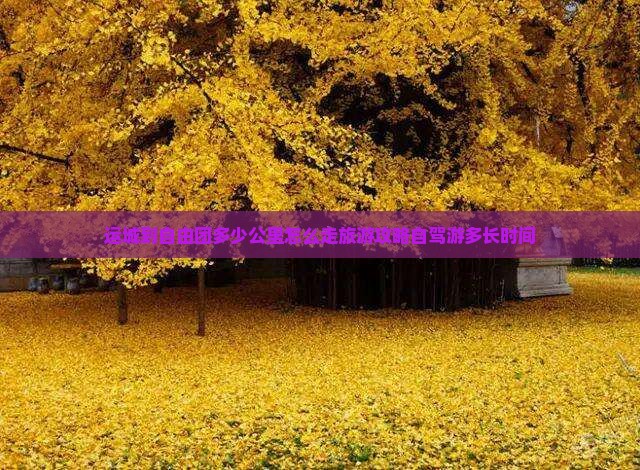 运城到西藏自由团