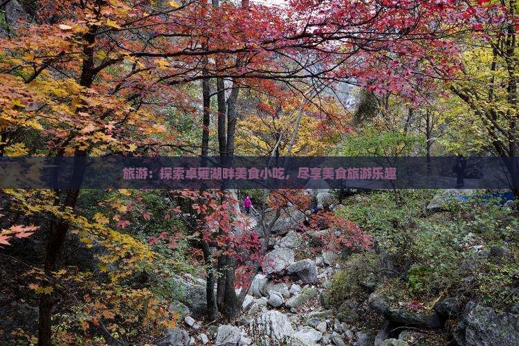 邢台去西藏羊卓雍措旅游小吃