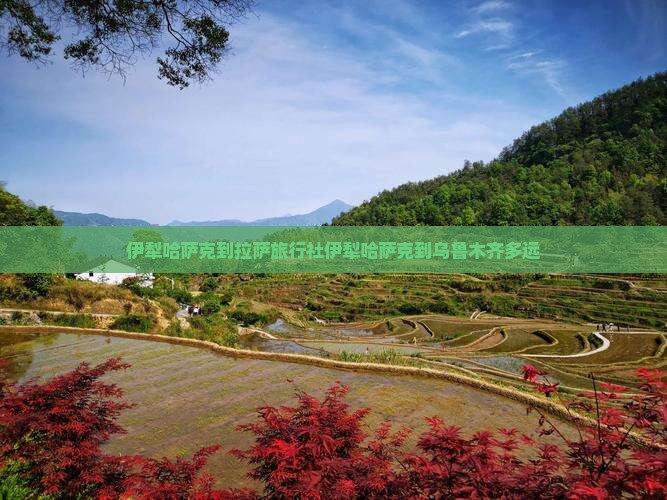 伊犁哈萨克到西藏拉萨旅行社
