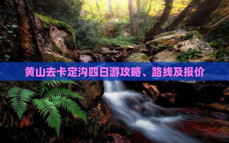 黄山去西藏卡定沟四日游
