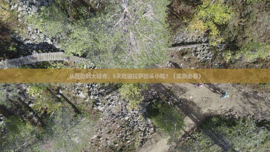 延边去西藏大昭寺旅游小吃