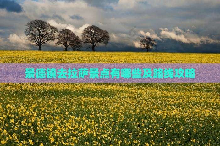 景德镇去西藏拉萨景点