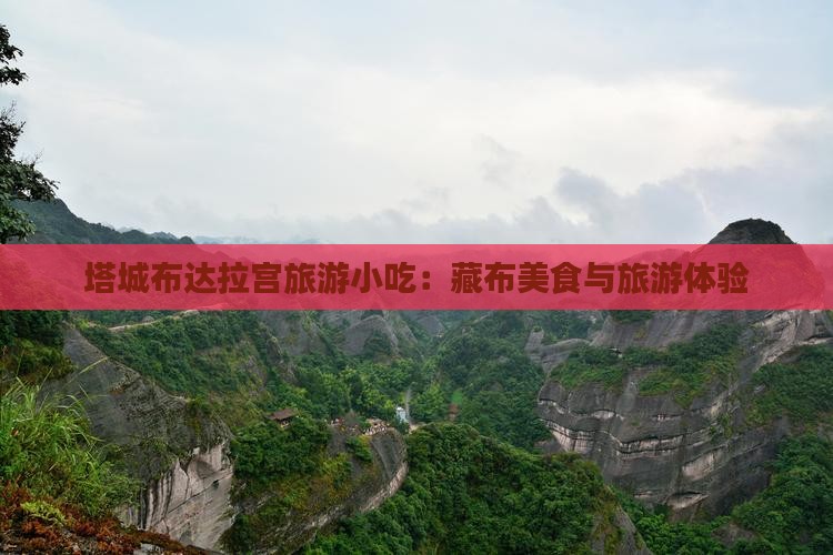 塔城去西藏布达拉宫旅游小吃