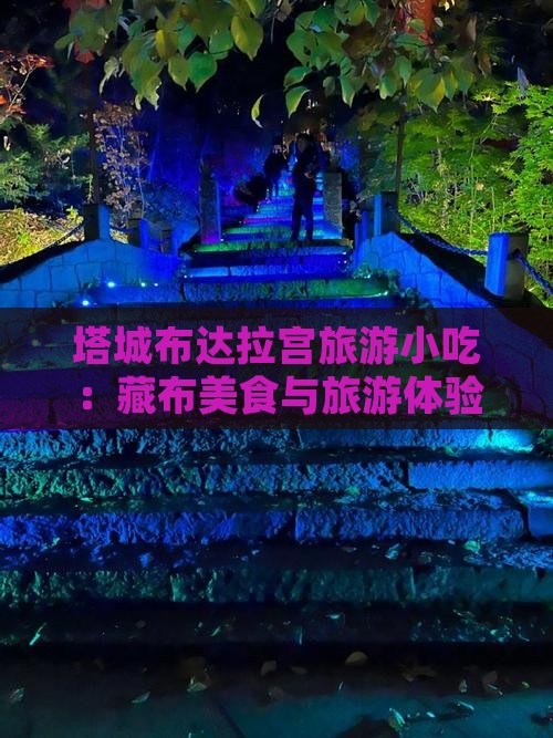 塔城去西藏布达拉宫旅游小吃