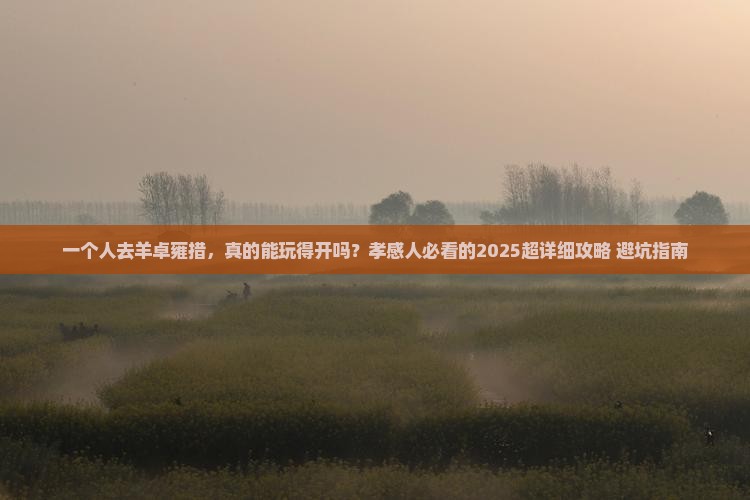 孝感去西藏羊卓雍措个人游