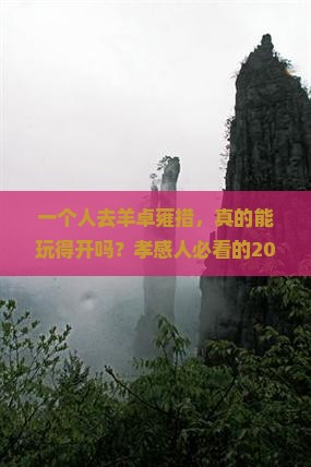 孝感去西藏羊卓雍措个人游